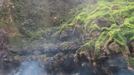 Pemandangan sekitar Air Terjun Manggisan