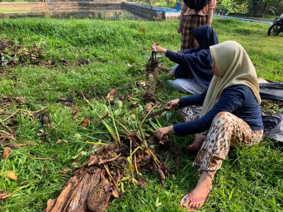 Proses pencacahan eceng gondok/dokpri