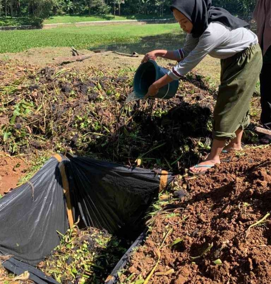 Proses pemasukan EM4 dan gula/dokpri