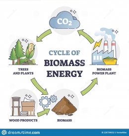 Siklus energi Biomassa (dreamstime.com)