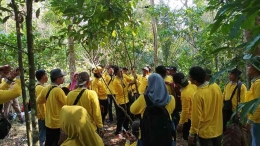 Peserta sekolah Lapang Agroforestry Kopi praktek lapangan. (Foto : Petrus Kanisius/YP).