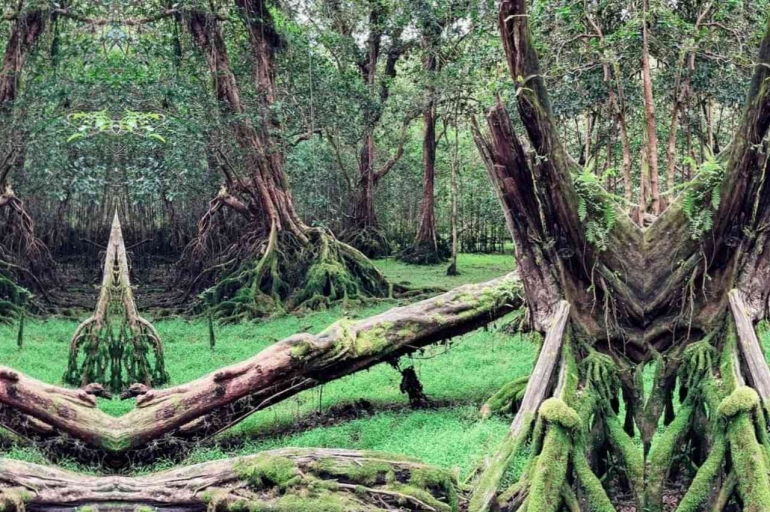 Wisata. Negeri Dongen Biak Numfor: dokpri