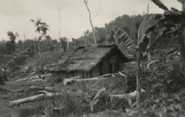 Rumah di tengah hutan tempat tinggal para penebang pohon untuk menyiapkan lahan perkebunan. Foto dibuat sekira tahun 1910. 