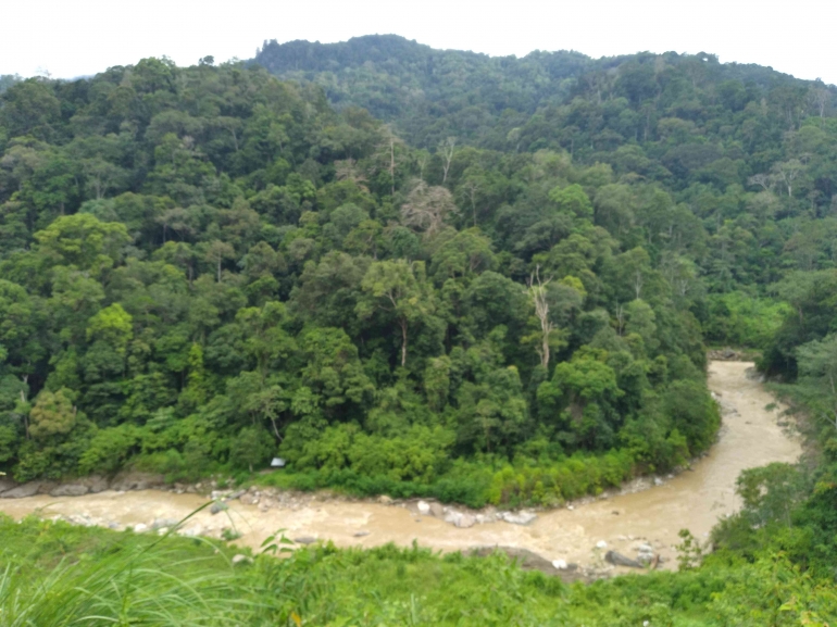 Sungai Pining, yang berhulu dari hutan leuser melewati kuala simpang sebelum bermuara ke selat malaka, Dokpri.