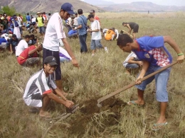 Mahasiswa sedang menanam mangrove tahun 2010 (Dokpri)