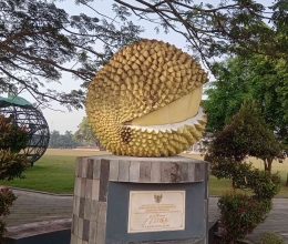 Patung buah durian menjadi salah satu sajian di alun-alun Purworejo. (dokpri)