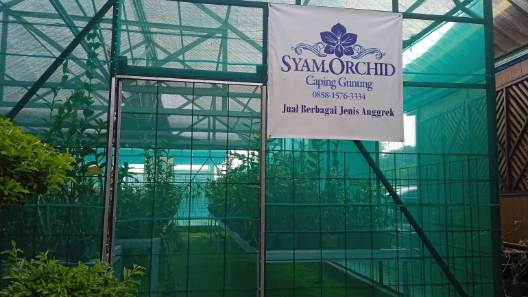 Kebun anggrek mini tempat display bermacam anggrek (dokumentasi pribadi by IYes)