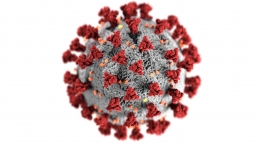 Ilustrasi: Virus Covid-19 (Sumber: pexels.com)
