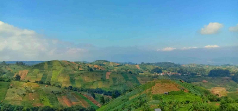 Pemandangan Terasering Panyaweuyan Sumber: Dokumen Pribadi