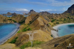 Rute trekking di Pulau Padar. Difoto dari atas bukit Padar. Sumber: dokumentasi pribadi