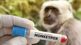 Suspek Cacar Monyet Ditemukan di Jawa Tengah? RI Diminta Waspada.| ilustrasi cacar monyet/stockfoto via CNN