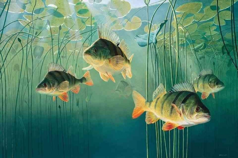 Tentang Ikan Nila yang Lenyap|foto: Steff Liu/Pinterest