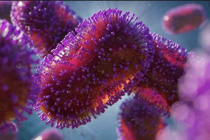 Ilustrasi virus penyebab wabah Monkeypox. Shutterstock via Kompas.com