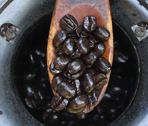 Kopi yang disangrai Hitam dengan Keasaman yang Lebih Rendah [Sumber:Michael Allen Smith from Seattle, USA, CC BY-SA 2.0, via Wikimedia Commons  ]