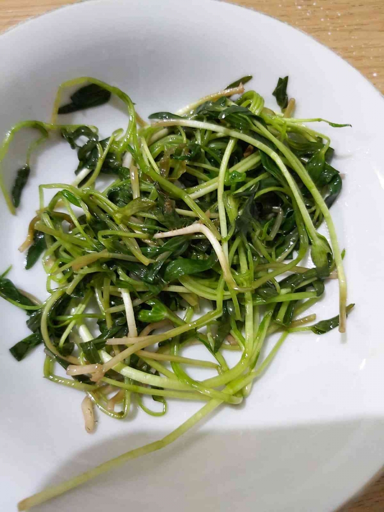 Tumis kangkung microgreen/Sumber: Dok. pribadi. 