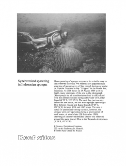 Sebuah dokumentasi riset Cousteau di Banda Neira, 29 Agustus 1989