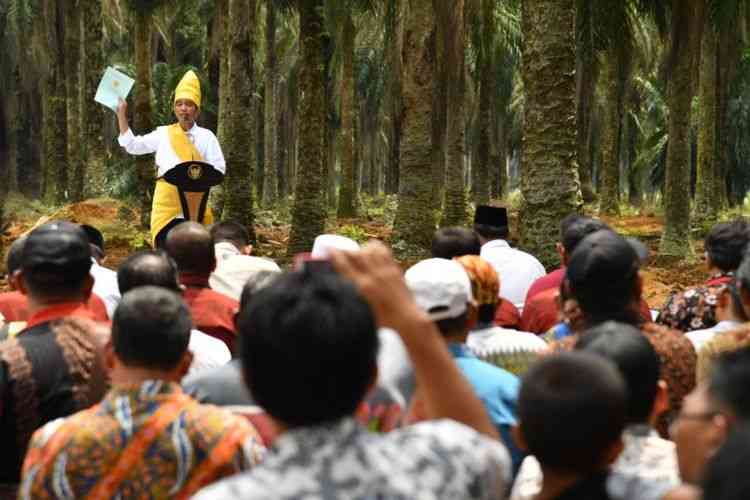 Presiden Joko Widodo meresmikan program Peremajaan Sawit Rakyat di Provinsi Riau, Rabu (9/5/2018). (Foto: Biro Pers Setpres via Kompas.com)