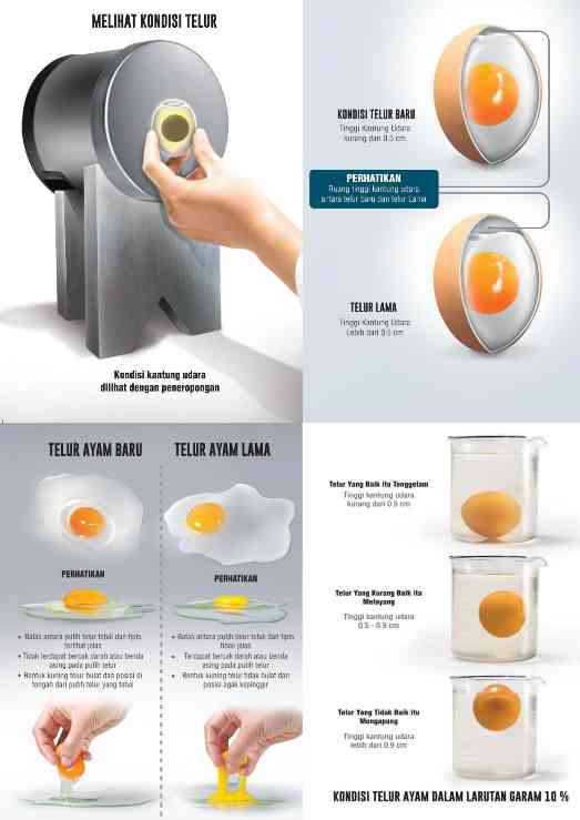 Poster Sosialisasi Cara Membedakan Telur yang Baru dan Sudah Lama (Sumber: Dokumentasi Pribadi) 