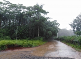 Suasana Desa Cibunar, Parung Panjang./Dokumen pribadi