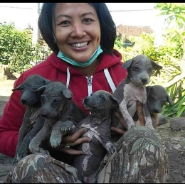 Sosok Tante Putu Kurnia Dengan Beberapa Anak Anjing Terlantar | Dokumentasi Tante Putu Kurnia/Putu Switi