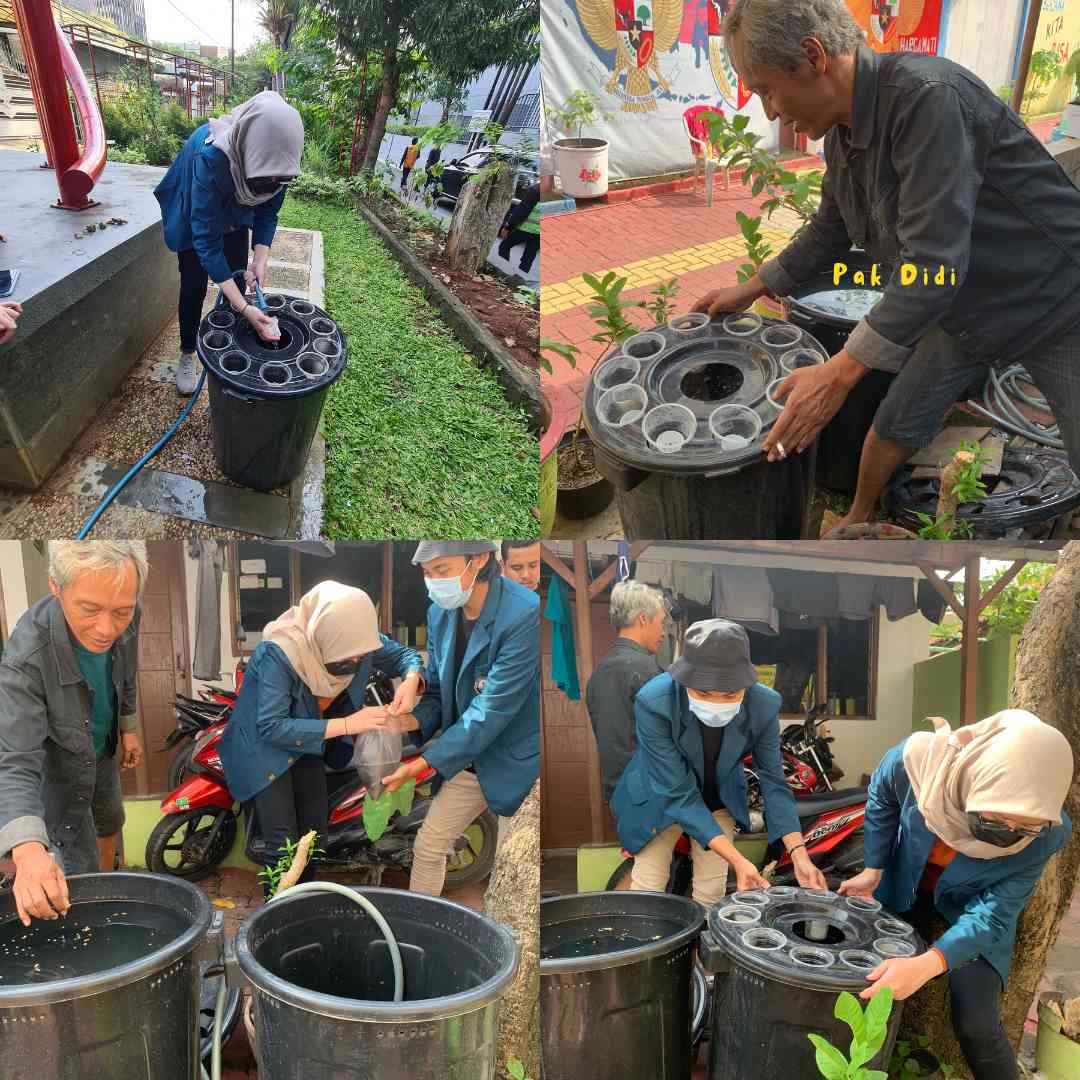 Budikdamber: Mengubah Lahan Sempit Menjadi Peluang Dengan Memanfaat ...