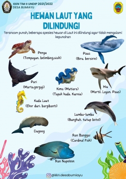 Poster Hewan Laut yang Dilindungi