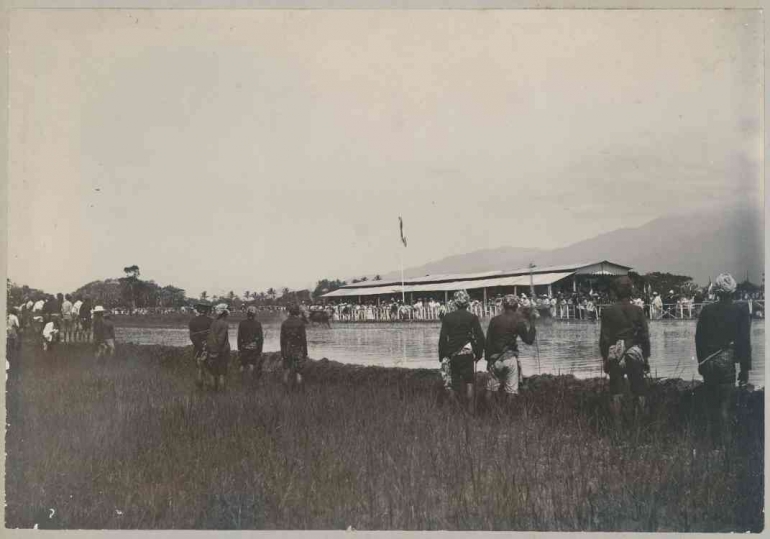 Balapan kerbau. Sumber: Digital Collection Leiden University Libraries