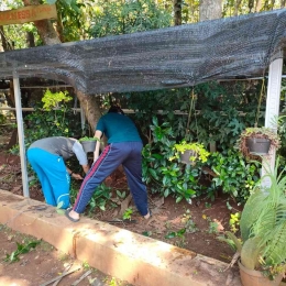 kerja bakti di kampung flora setelah dilakukan pemaparan desain perencanaan penataan tanaman hias