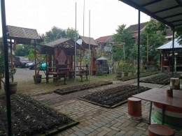 Taman Kampung di Sawojajar sambil menjaga tanaman urban farming. | Dokumen pribadi 