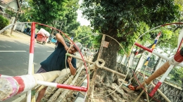 Seorang penjual pohon pinang di jalan Manggarai Utara, Jakarta.  (Jonas/Mahasiswa)