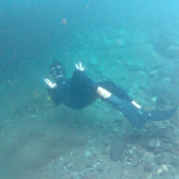 Underwater di Perairan Daerah Banyumas