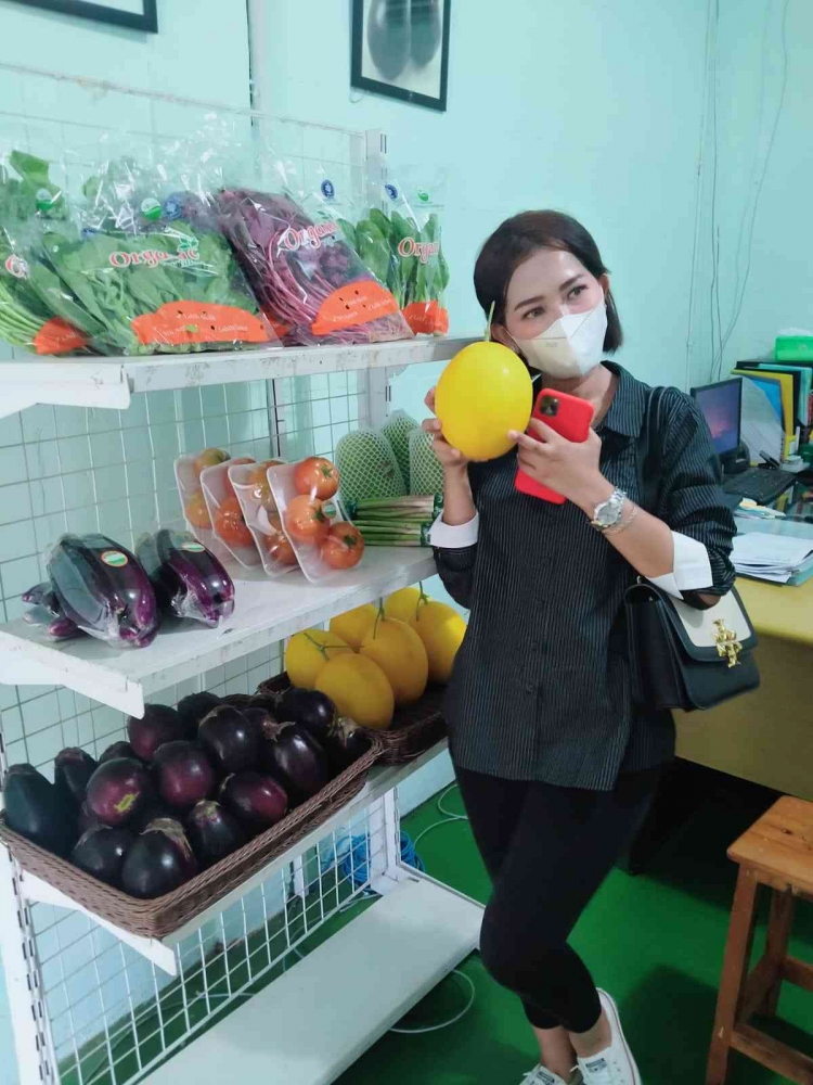 (Dok. pribadi)