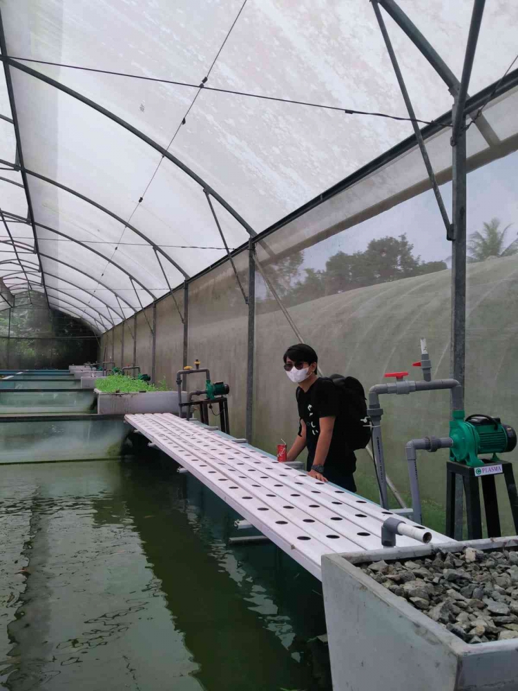 Dari Bibit Hingga Fresh Product di ATP Cikarawang IPB University ...