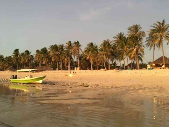 Deretan pohon kelapa di sepanjang Pantai Nemberala, dokpri