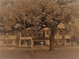 Pusat Penelitian Perkebunan Gula Indonesia di Pasuruan Jawa Timur (Foto Dok.Pribadi Hensa). 
