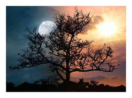 Matahari-Bulan (Foto: Pixabay).