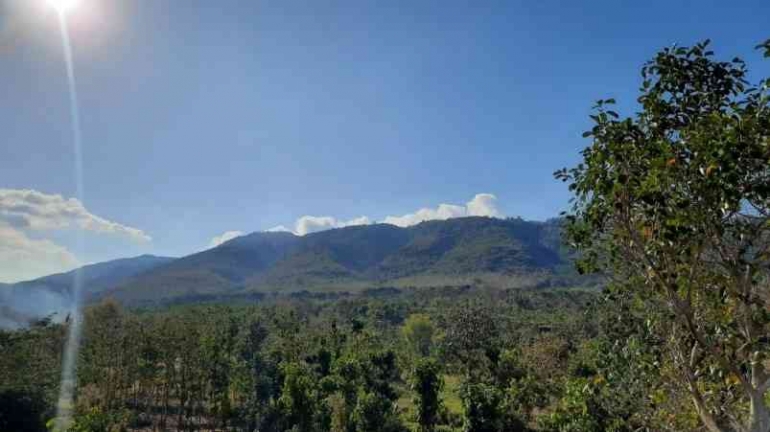 Pemandangan di sekitar Bukit Ploseran (Foto: KKN 321 Kemuningan Unej 2022)