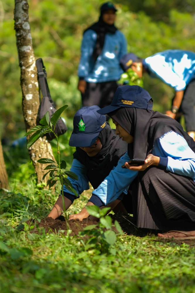 Penanaman Pohon di Basecamp Perantunan oleh Mahasiswa KKN UIN Walisongo Semarang. Sumber: Dokumentasi Pribadi