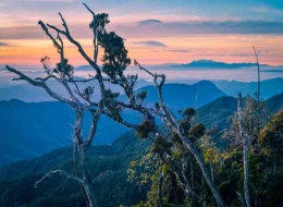 Pegunungan Timur : trek-papua.com