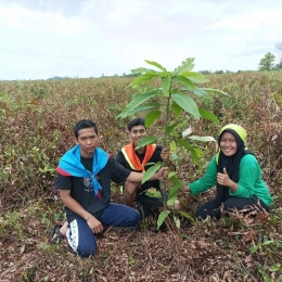 Saat melakukan penanaman pohon di lokasi hutan desa Padu Banjar. (Foto : Riduwan/Yayasan Palung).