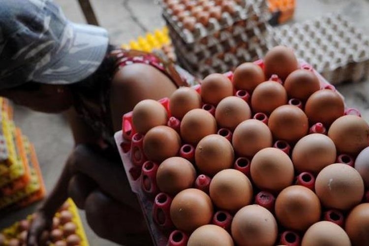 Telur menjadi salah satu bahan pangan yang turun mengalami kenaikan| (KOMPAS/BAHANA PATRIA GUPTA)