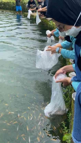 Penebaran Benih Ikan Nila Oleh Mahasiswa KKN UNS 224 di Desa Pondok, Klaten//Dokumentasi pribadi