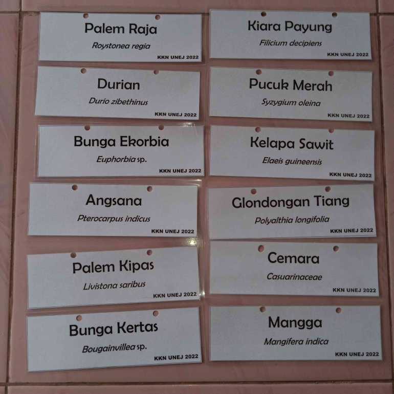 Papan nama untuk flora di SMPN 1 Pujer yang diberikan oleh Kelompok 343 KKN Universitas Jember Tahun 2022