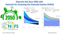 Image: Skenario Net Zero 2050  dalam Sitem Keuangan (File by Merza Gamal)