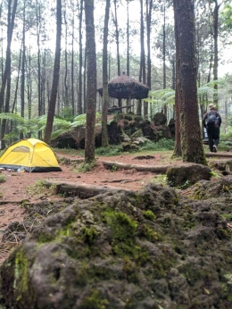 Camping Ground Pinus Gragal, bisa istirahat sebentar. (dok.pri)