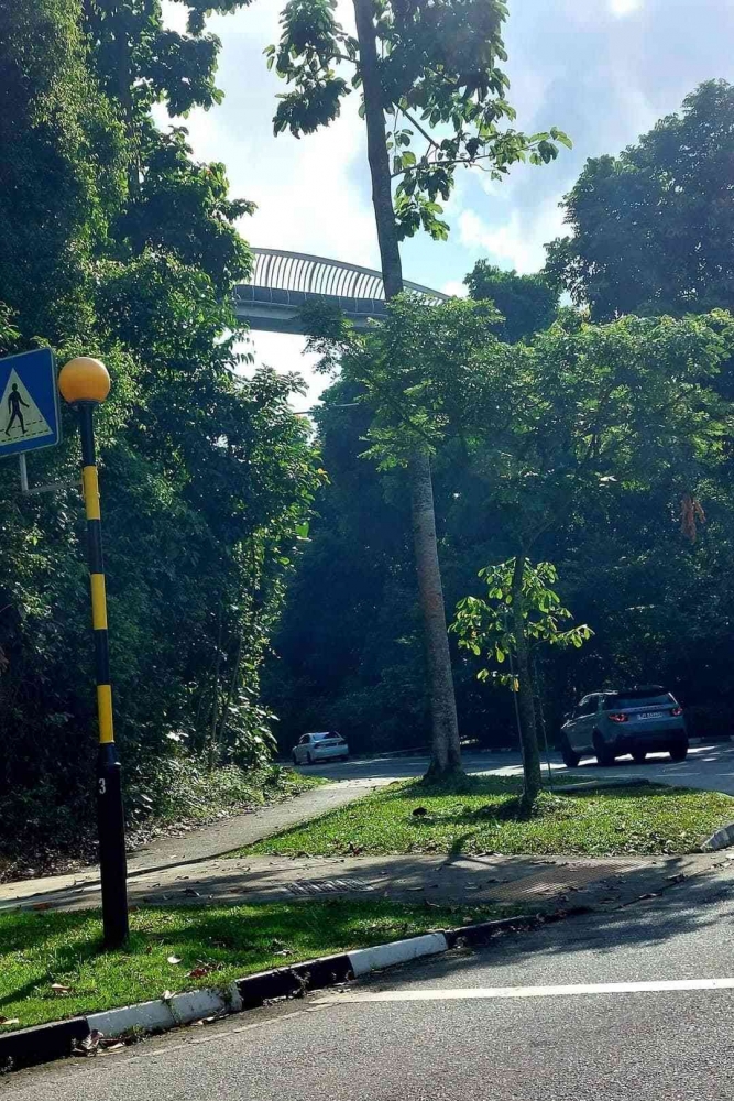 Dari taxi yang membawaku dari kota Singapura ke Henderson Road, melihat ke atas JPO Henderson Waves/Dokumentasi pribadi