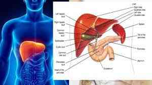 Sumber: alodokter.com