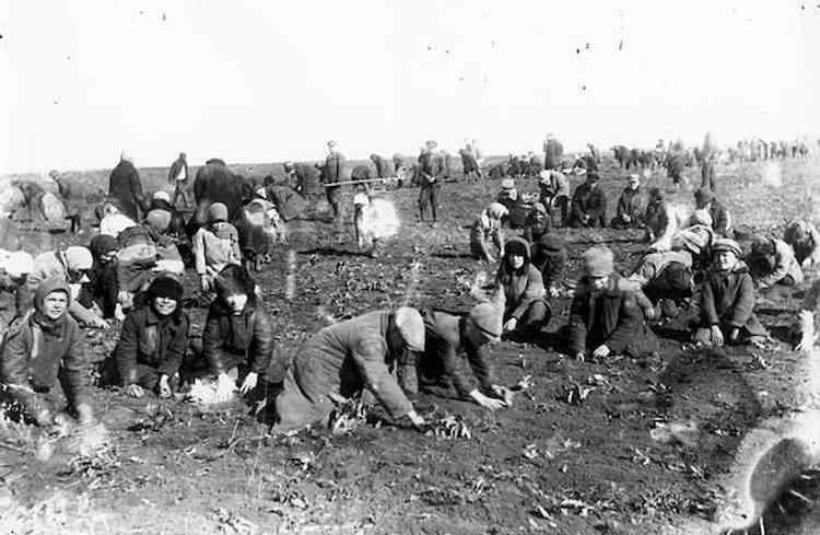 Warga Soviet yang dikirim ke Kamp Kerja Paksa ketika Soviet berada di bawah kepemimpinan Stalin | Sumber Gambar: historyhit.com