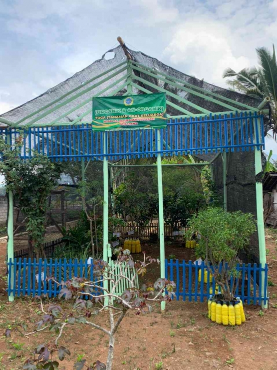 Gambar 6. Pemanfaatan Kembali Taman Tamanan Obat Keluarga (TOGA) /dokpri