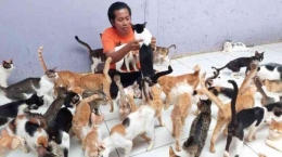Kita dapat bekerjasama dengan shelter dan komunitas hewan untuk mengurus sterilisasi kucing jalanan (Ilustrasi: Pebby Adhe Liana|Tribun Jakarta.com)